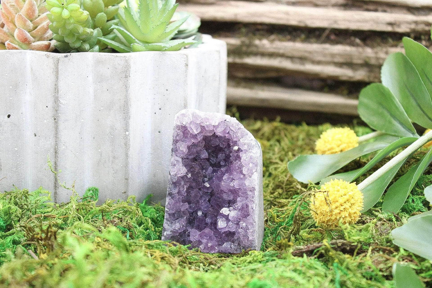 6-11 Crystals Crystal Amethyst Specimen Cathedral (am-20)