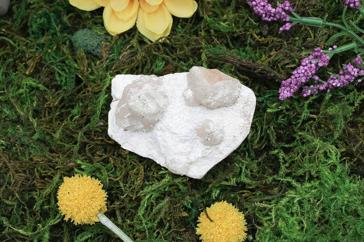 6-11 Crystals Crystal Apophyllite Specimen 1.5" x ~3.5" x 2.5"