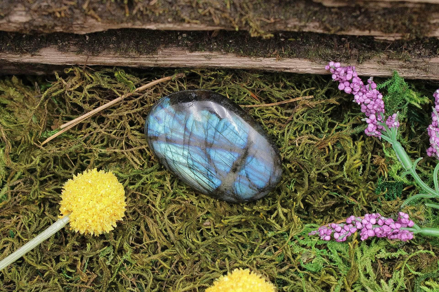 6-11 Crystals Crystal Labradorite Palm Stone (lb-01) 1.75" x 2.5"