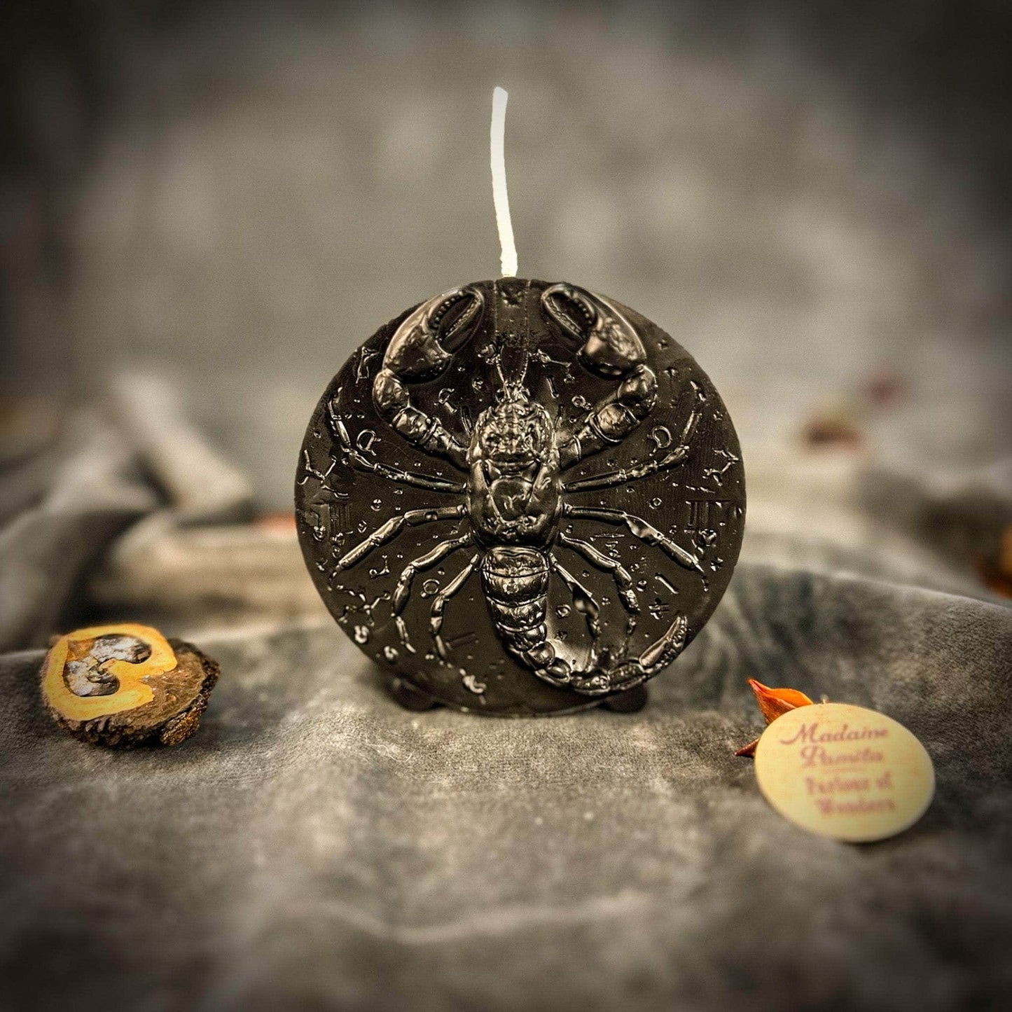 Parlour of Wonders Beeswax Candle Black (Protection) Beeswax Scorpio Scorpion Zodiac Spell Candle Beeswax Scorpio Scorpion Zodiac Spell Candle