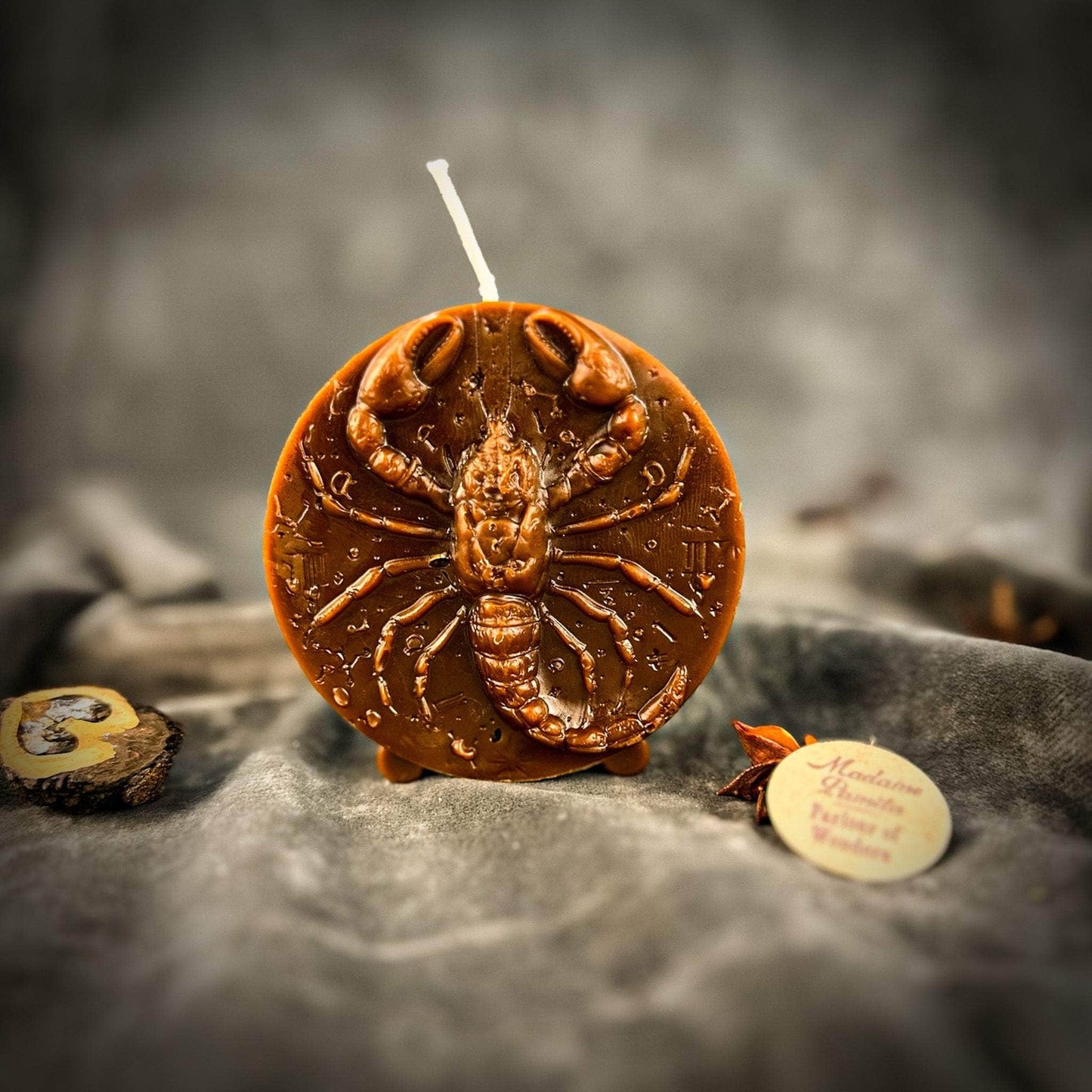 Parlour of Wonders Beeswax Candle Brown (Grounding) Beeswax Scorpio Scorpion Zodiac Spell Candle Beeswax Scorpio Scorpion Zodiac Spell Candle