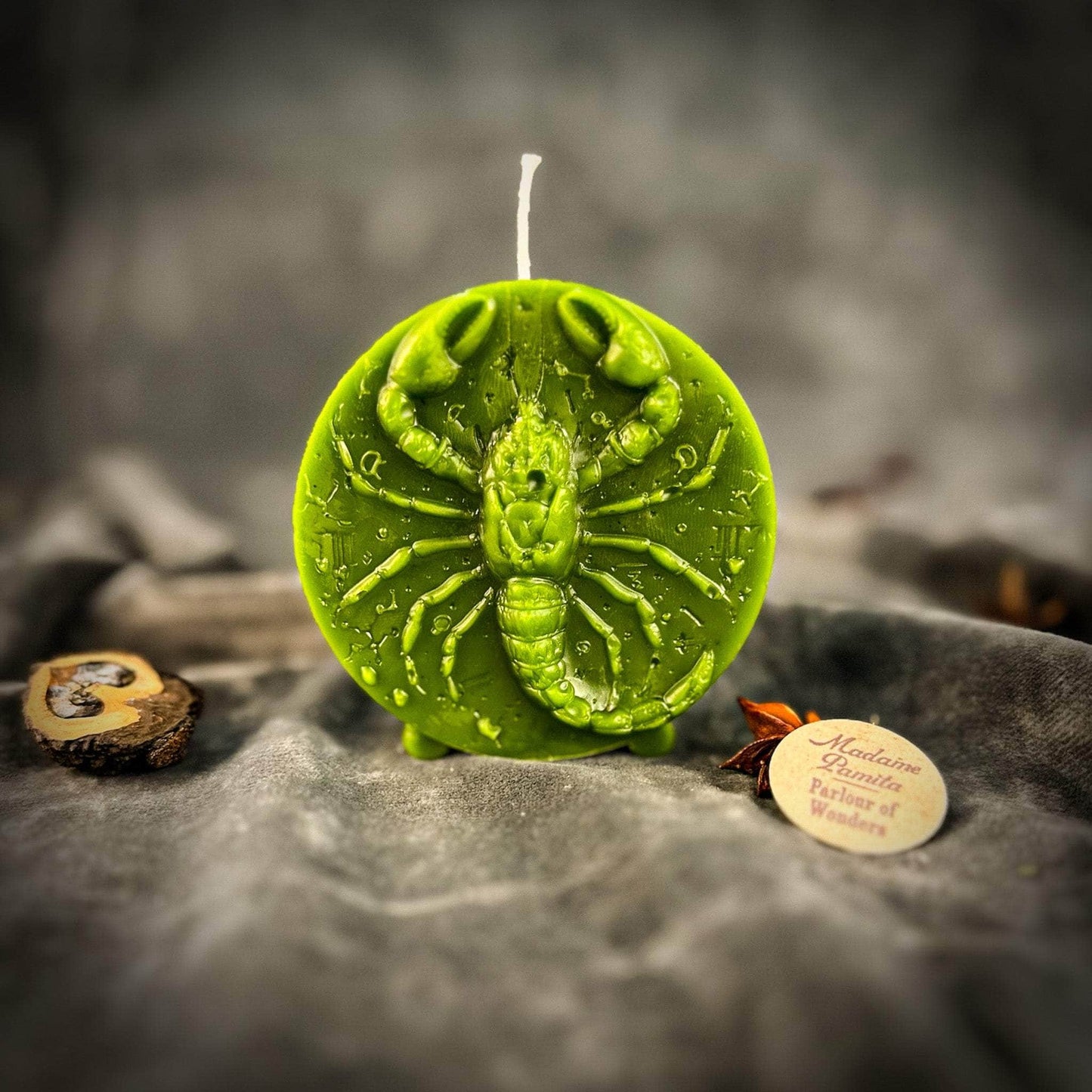 Parlour of Wonders Beeswax Candle Green (Prosperity) Beeswax Scorpio Scorpion Zodiac Spell Candle Beeswax Scorpio Scorpion Zodiac Spell Candle