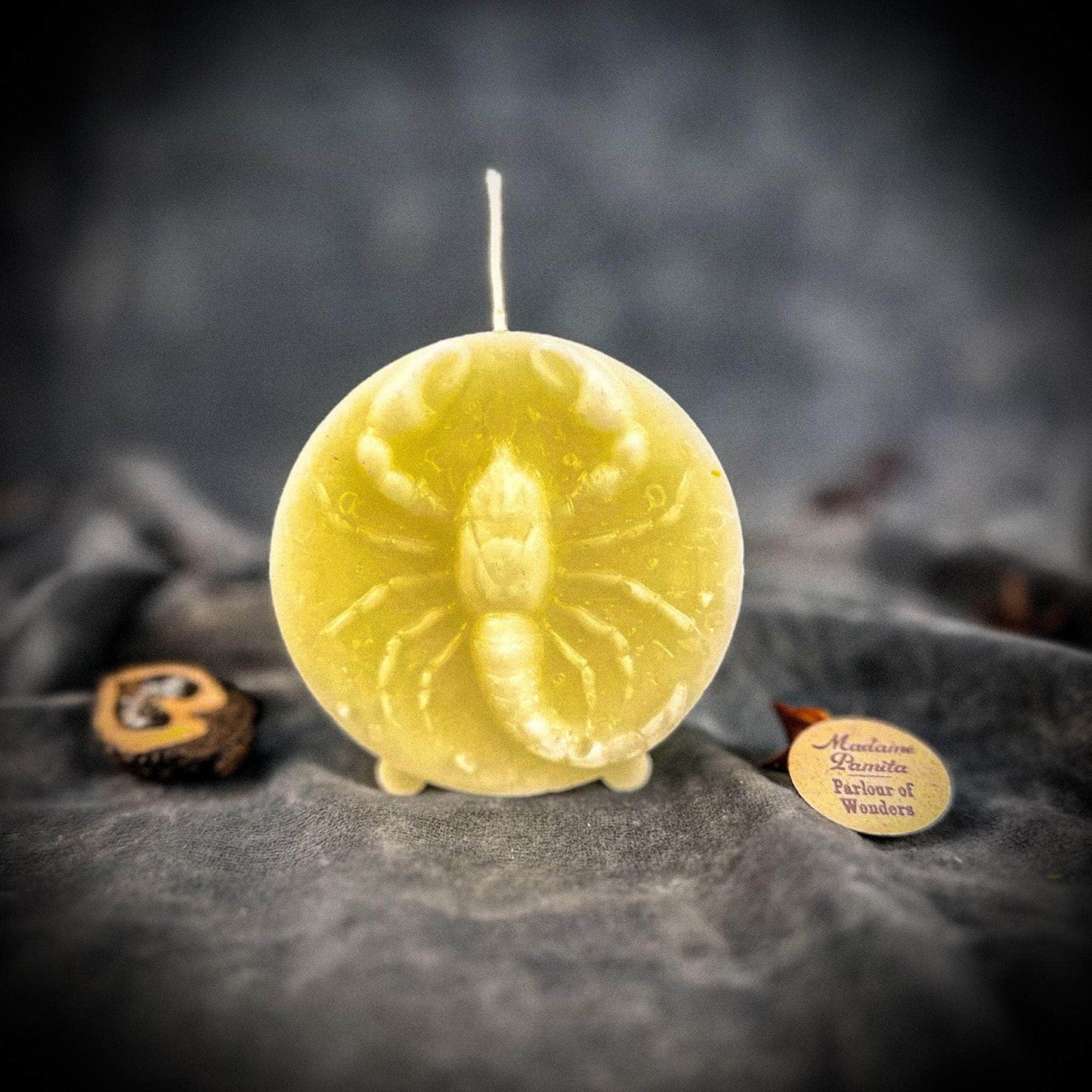 Parlour of Wonders Beeswax Candle White (Blessing) Beeswax Scorpio Scorpion Zodiac Spell Candle Beeswax Scorpio Scorpion Zodiac Spell Candle