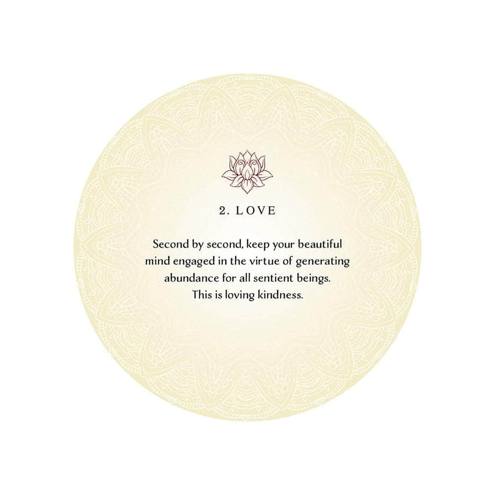 The Witches Sage LLC Tarot Cards Buddhism Oracle Cards: The Science of Peace & Happiness Buddhism Oracle Cards: The Science of Peace & Happiness