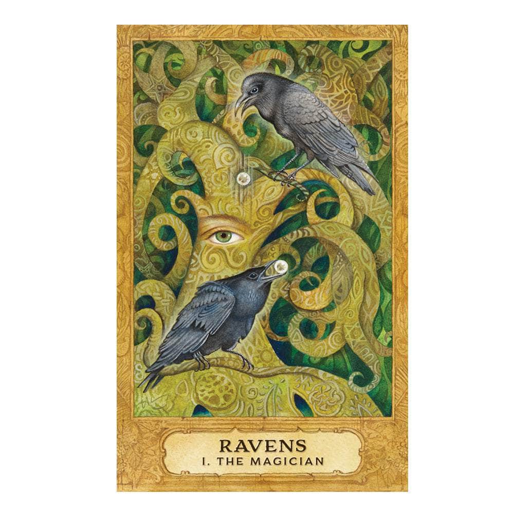 The Witches Sage LLC Tarot Cards Chrysalis Tarot Deck and Book Set Chrysalis Tarot Deck and Book Set