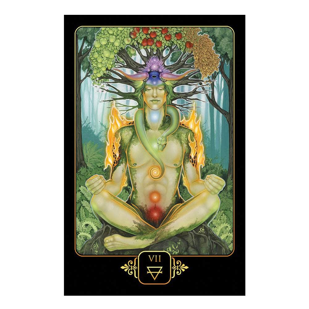The Witches Sage LLC Tarot Cards Dreams of Gaia Tarot Dreams of Gaia Tarot