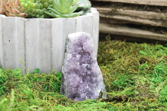 6-11 Crystals Crystal Amethyst Cathedral Specimen (am-19) 2.5" x 2.5" x 4"