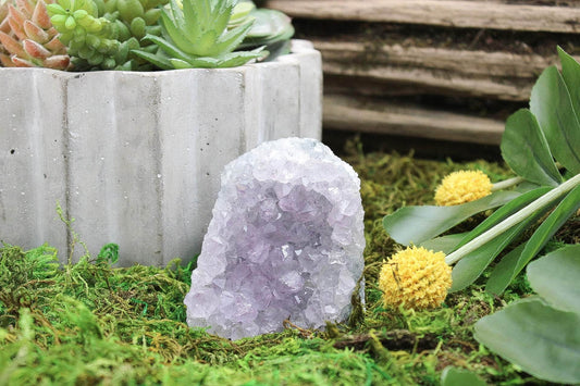 6-11 Crystals Crystal Amethyst Cathedral Specimen (am-21) 2.5" x 3" x 3.5"