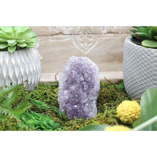 6-11 Crystals Crystal Amethyst Specimen (AM-09) 1.75" x 2.5" x 3.5"