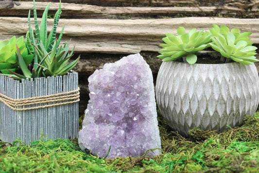 6-11 Crystals Crystal Amethyst Specimen (am-25) 2.25" x 3.5" x 4.75"