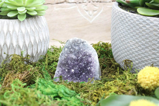 6-11 Crystals Crystal Amethyst Specimen Cathedral (am-11)