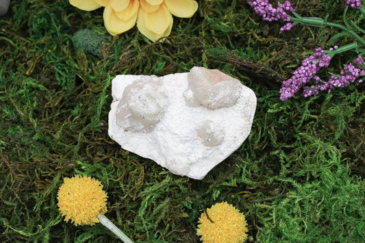 6-11 Crystals Crystal Apophyllite Specimen 1.5" x ~3.5" x 2.5"