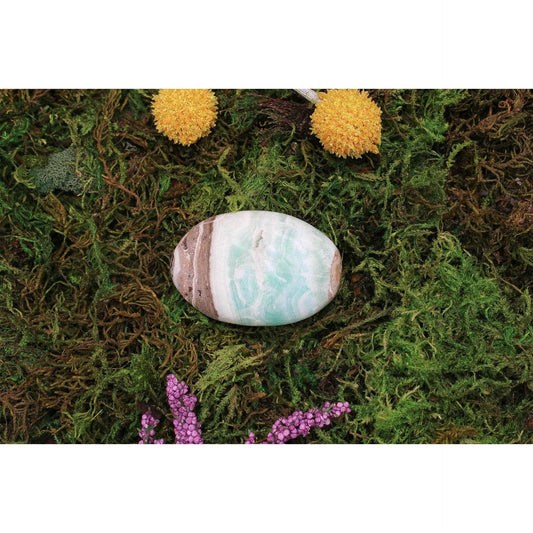 6-11 Crystals Crystal Caribbean Calcite Palm Stone (cc-02)
