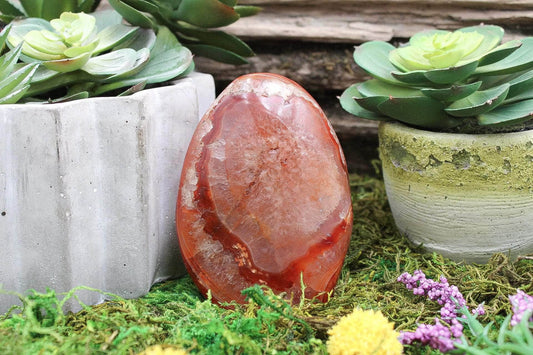 6-11 Crystals Crystal Carnelian Freeform (cn-01)