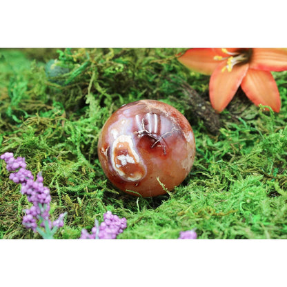 6-11 Crystals Crystal Carnelian Sphere (cn-03)