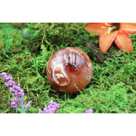 6-11 Crystals Crystal Carnelian Sphere (cn-03)