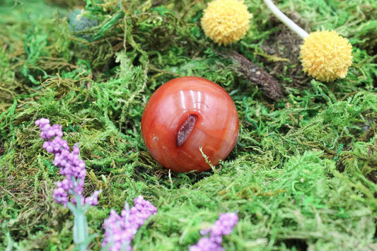6-11 Crystals Crystal Carnelian Sphere (cn-04) 2.25"
