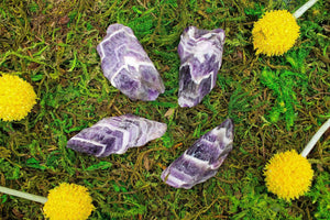 6-11 Crystals Crystal Chevron Amethyst Rough  Chunks