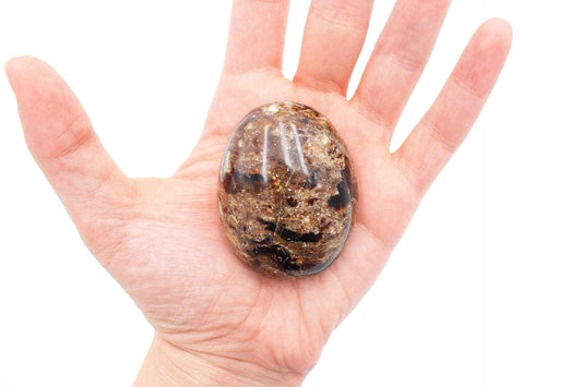 6-11 Crystals Crystal Chocolate Opal Palm Stone  3" Chocolate Opal Palm Stone  3"