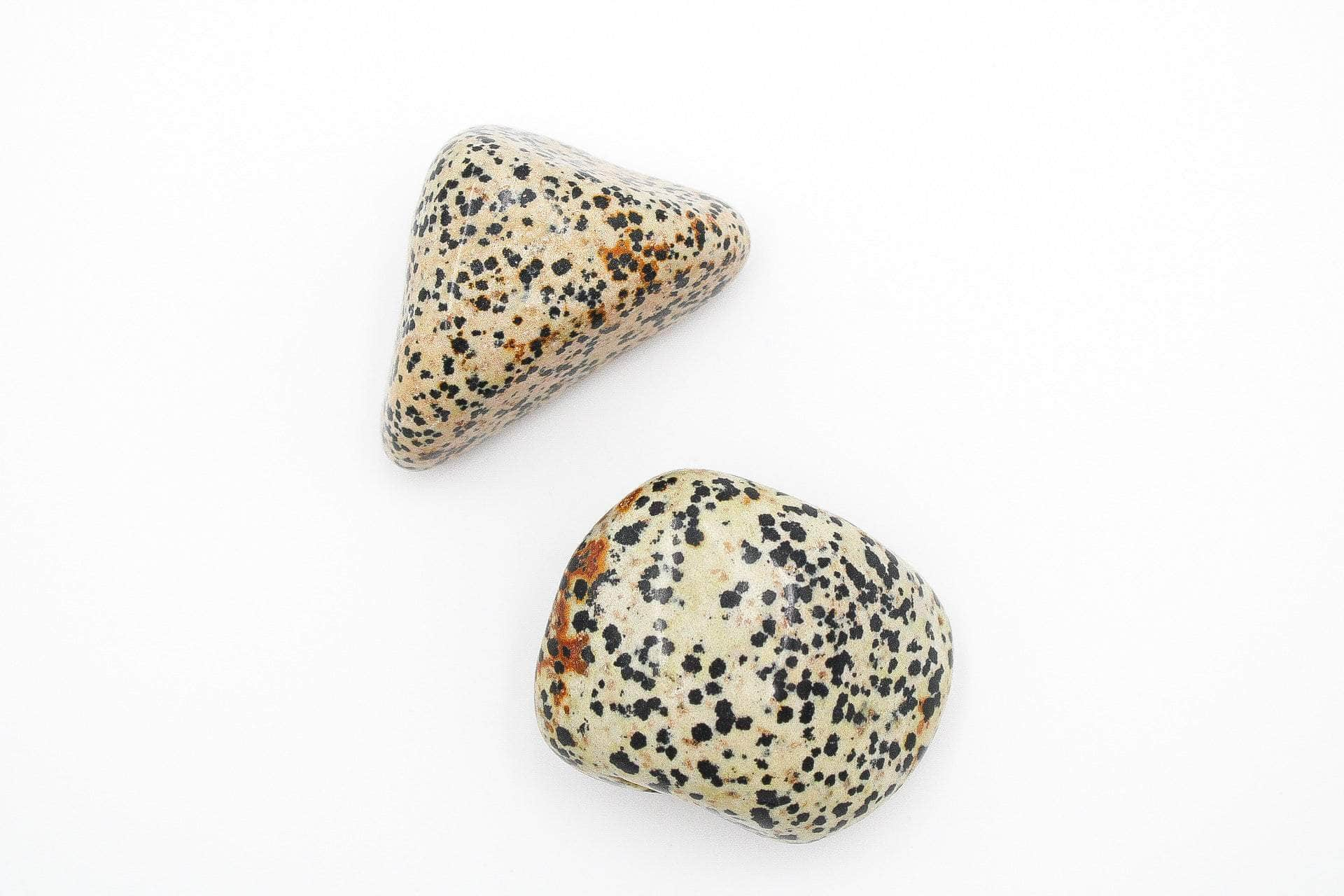 6-11 Crystals Crystal Dalmatian Jasper Freeform Dalmatian Jasper Freeform