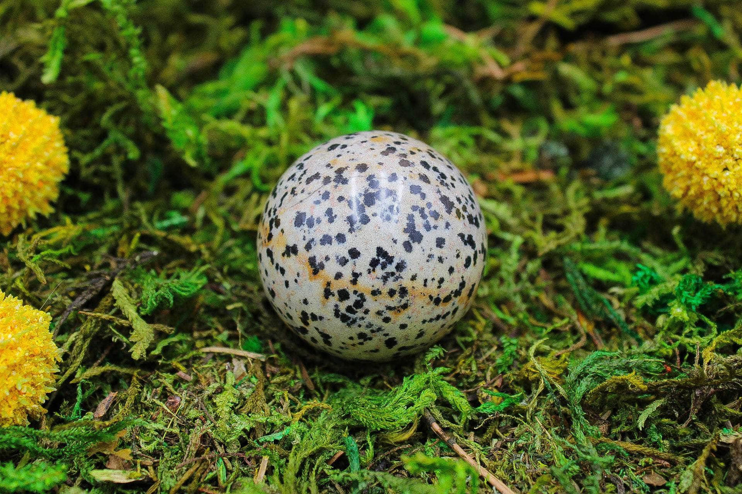 6-11 Crystals Crystal Dalmatian Jasper Sphere Dalmatian Jasper Sphere