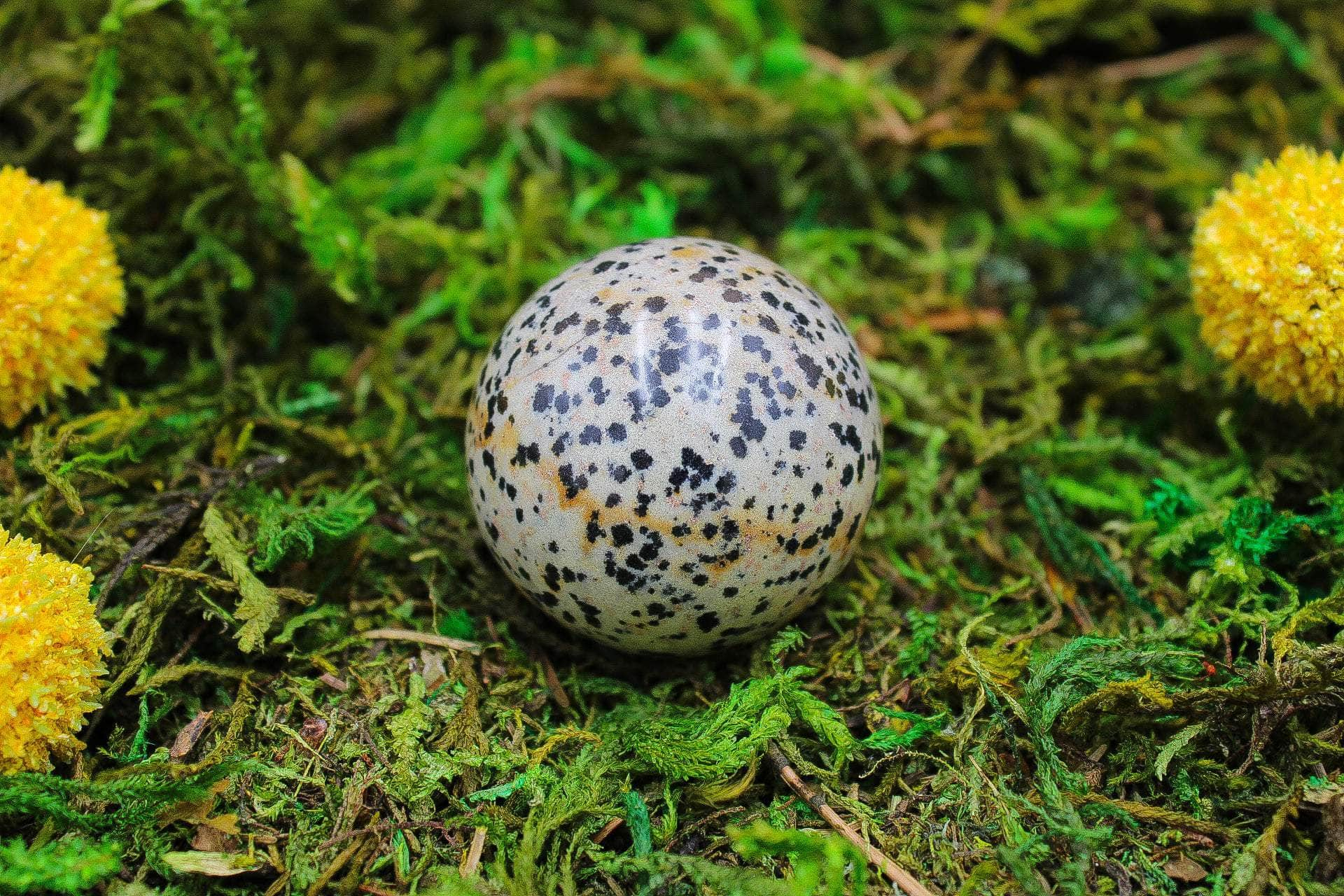 6-11 Crystals Crystal Dalmatian Jasper Sphere Dalmatian Jasper Sphere