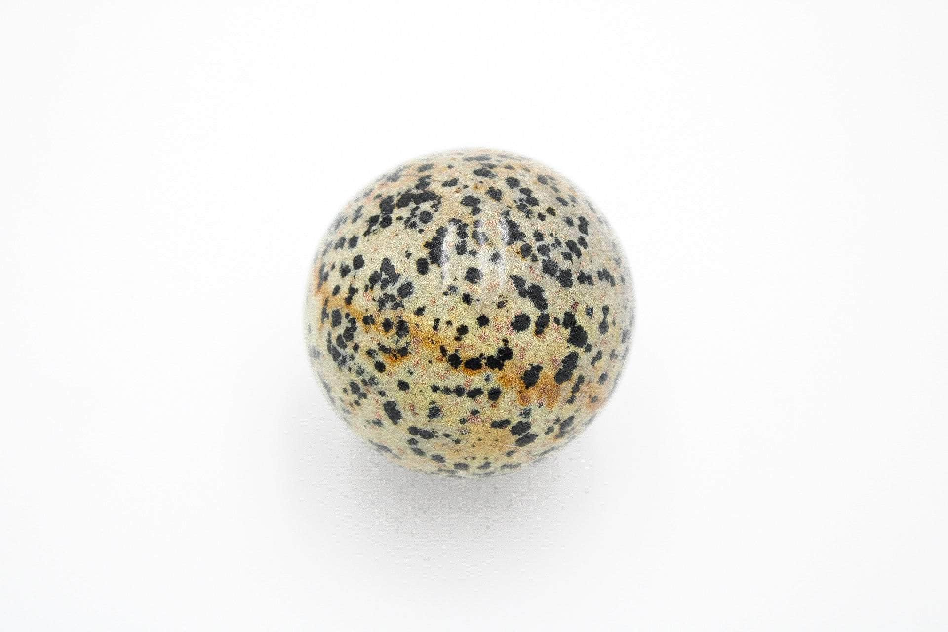 6-11 Crystals Crystal Dalmatian Jasper Sphere Dalmatian Jasper Sphere