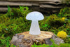 6-11 Crystals Crystal, decor Selenite Mushroom 2.25" Tall