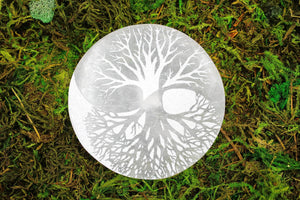 6-11 Crystals Crystal, decor Tree of Life Selenite Carved Charging Plates 4.25"