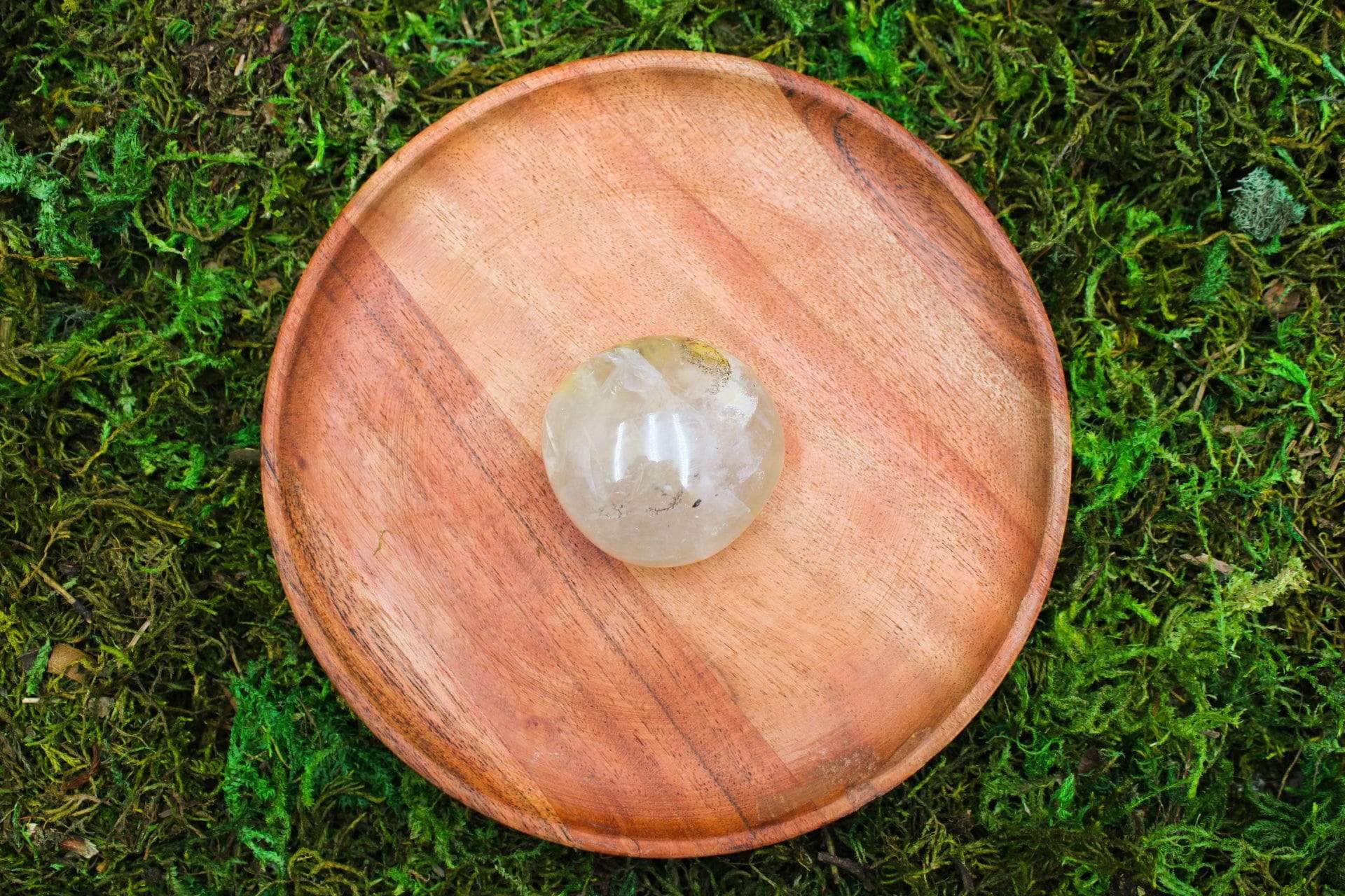 6-11 Crystals Crystal Dendritic Golden Healer Palm Stone *RARE* 2" x 2"