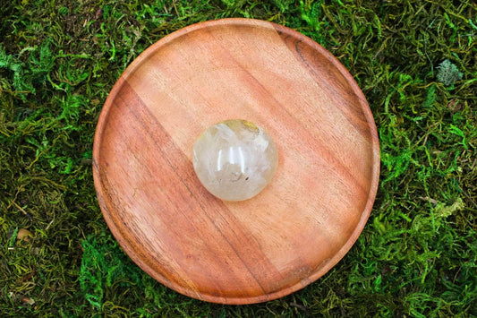 6-11 Crystals Crystal Dendritic Golden Healer Palm Stone *RARE* 2" x 2"