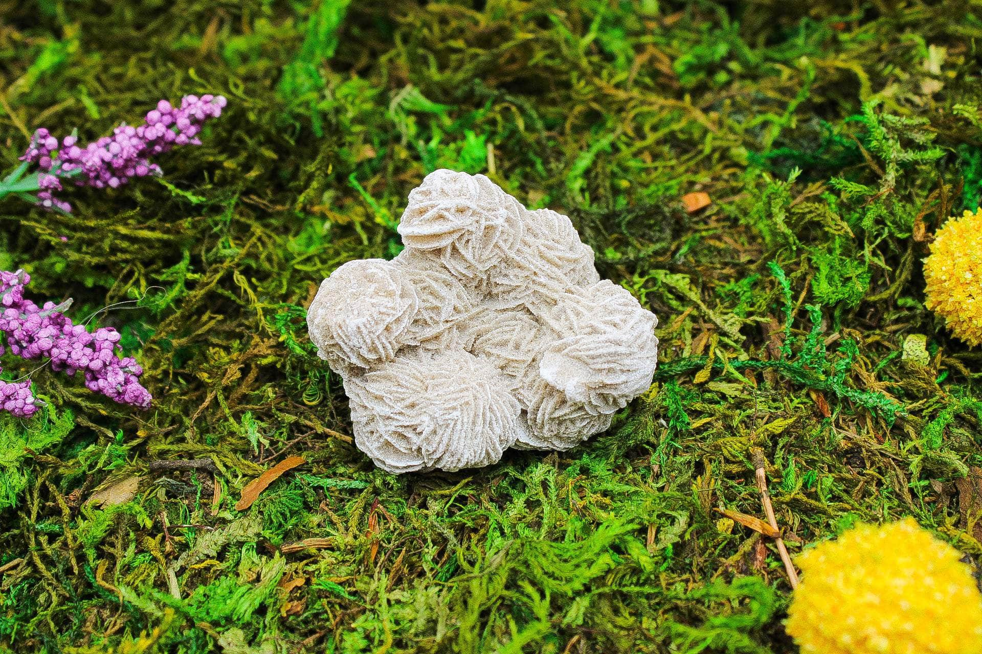 6-11 Crystals Crystal Desert Rose Selenite Desert Rose Selenite