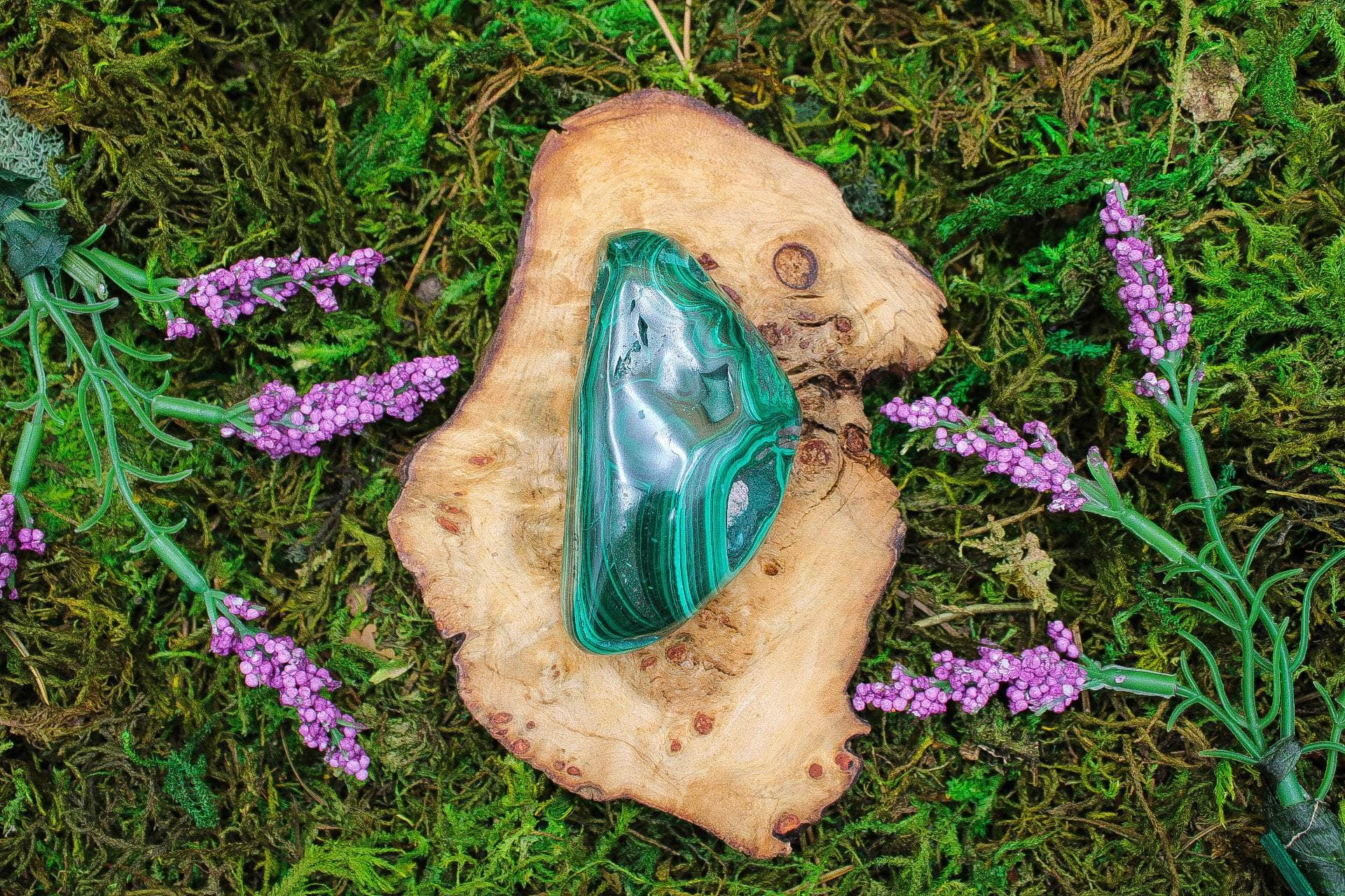 6-11 Crystals Crystal Freeform Polished Malachite – Embrace Transformation and Protection! 3.5"