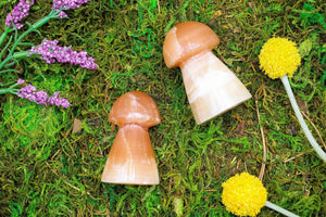 6-11 Crystals Crystal Honey Calcite Mushrooms 3" Tall