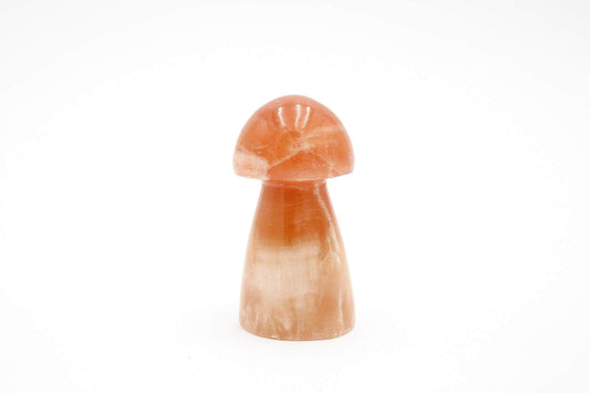 6-11 Crystals Crystal Honey Calcite Mushrooms 3" Tall