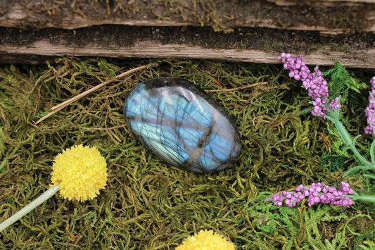 6-11 Crystals Crystal Labradorite Palm Stone (lb-01) 1.75" x 2.5"