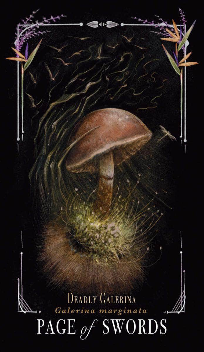 6-11 Crystals Divination Midnight Magic A Tarot Deck of Mushrooms