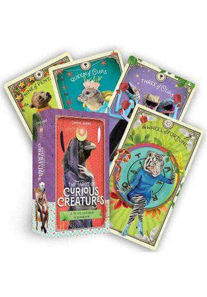 6-11 Crystals Divination The Tarot of the Curious Creatures