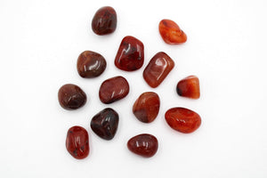 6-11 Crystals Medium 1-1.5" Carnelian Grade A Tumbles