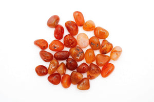 6-11 Crystals Small 1" Carnelian Grade A Tumbles