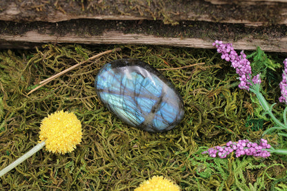 Labradorite Palm Stone (lb-01)