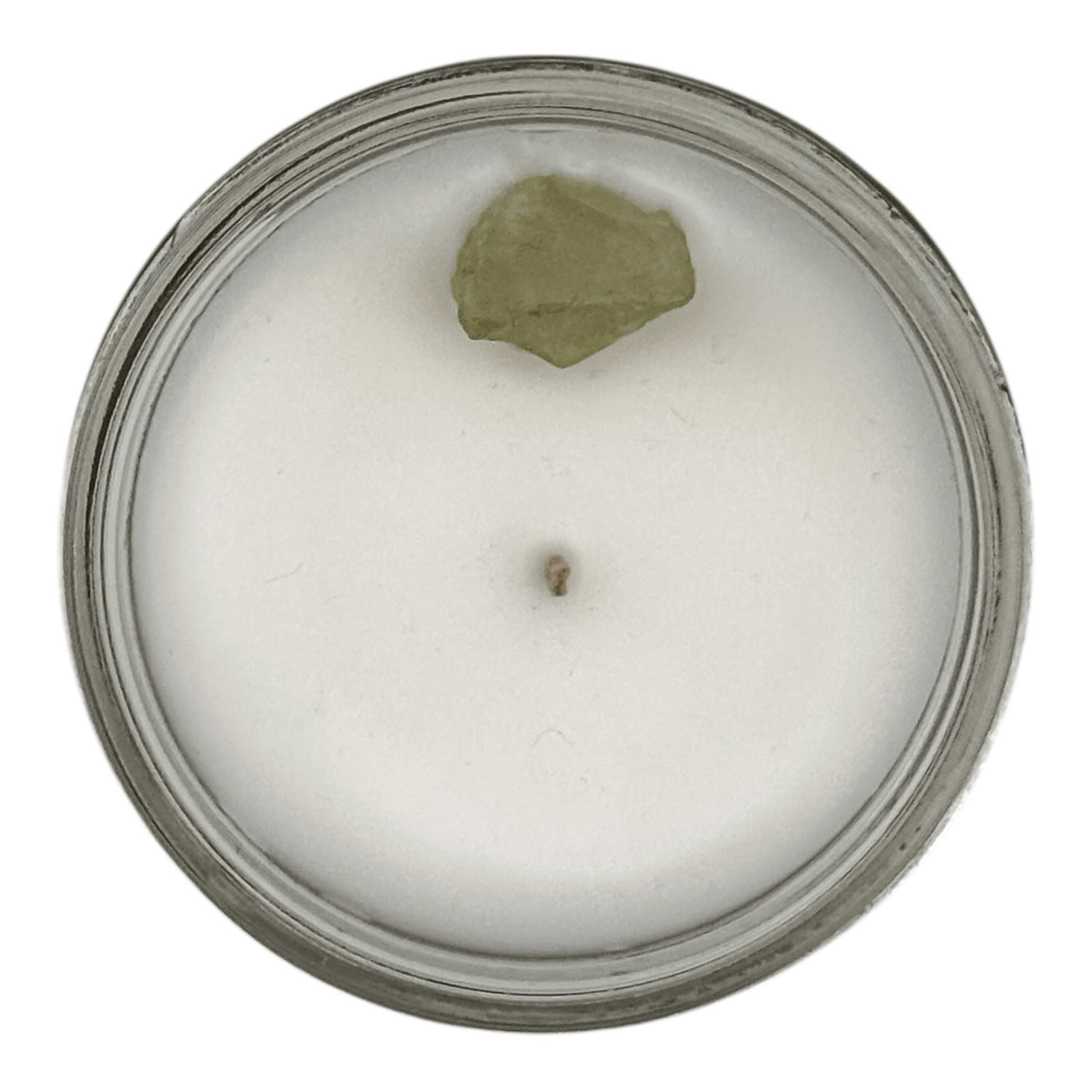 Moth to Flame Candles Candles Tranquility – 7 oz Candle Tranquility – 7 oz Candle