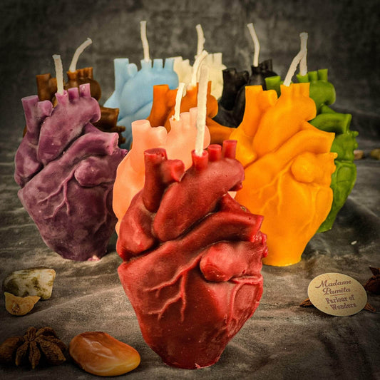 Parlour of Wonders Beeswax Anatomical Heart Spell Candle Beeswax Anatomical Heart Spell Candle