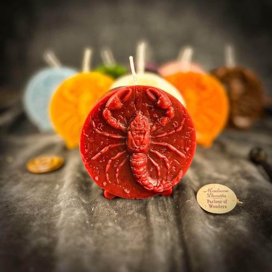 Parlour of Wonders Beeswax Candle Beeswax Scorpio Scorpion Zodiac Spell Candle Beeswax Scorpio Scorpion Zodiac Spell Candle