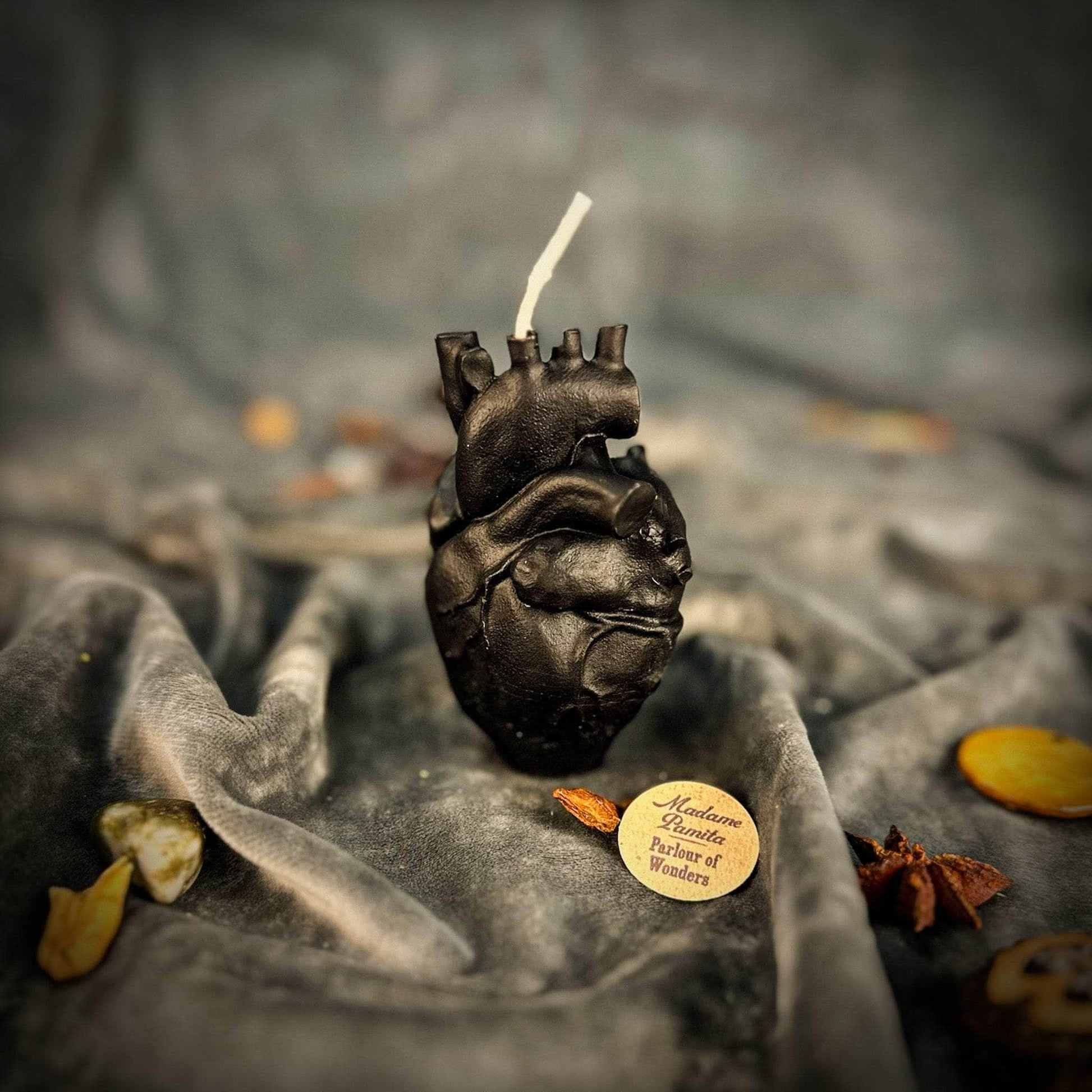 Parlour of Wonders Black (Protection) Beeswax Anatomical Heart Spell Candle Beeswax Anatomical Heart Spell Candle