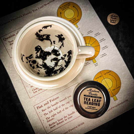 Parlour of Wonders Tea Deluxe Tea Leaf Reading Kit Deluxe Tea Leaf Reading Kit