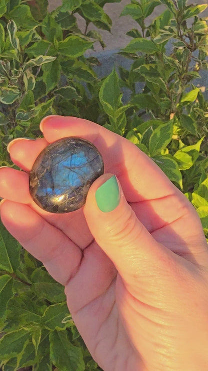 Labradorite Mini Palms (lb-05) Approx 1.5" Long