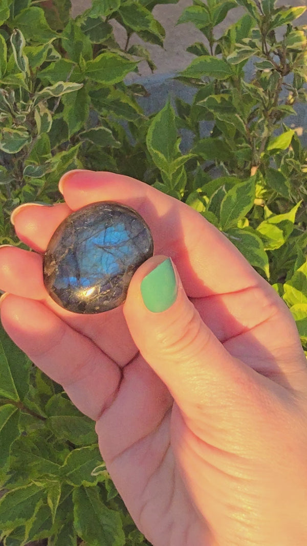 Labradorite Mini Palms (lb-05) Approx 1.5