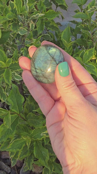 Labradorite Palm (lb-04) 1.75" x 2"