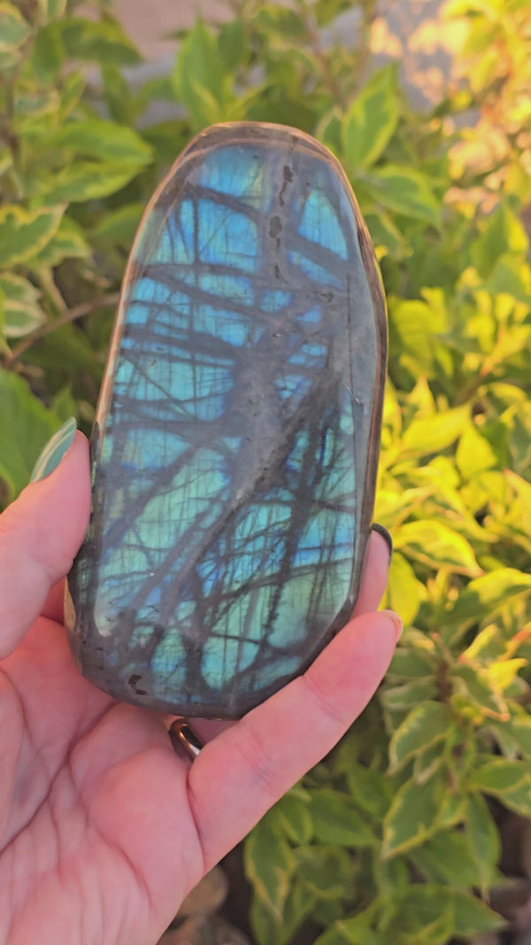 Labradorite Freeform (lb-07)